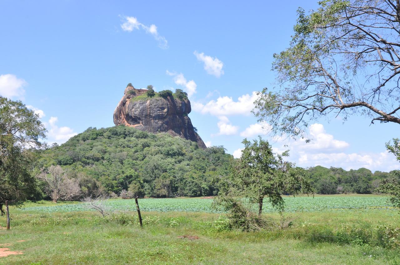 Lathika Homes Sigiriya Esterno foto